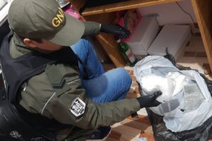 Cocaína, en una imagen ilustrativa. (Gendarmería)