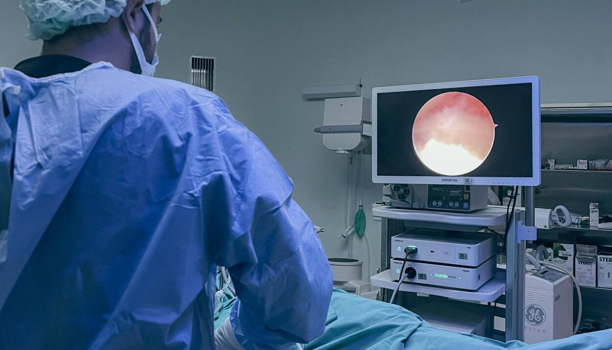 Imagen ilustrativa. (Pexels.com/Mehmet Turgut Kirkgoz)