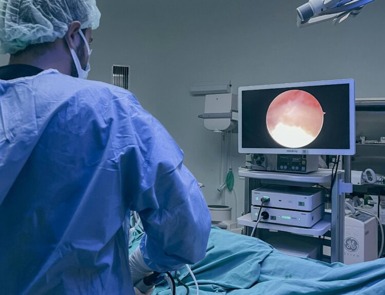 Imagen ilustrativa. (Pexels.com/Mehmet Turgut Kirkgoz)